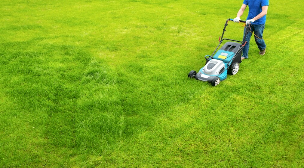 the-average-cost-of-lawn-mowing-services-in-columbus-ohio