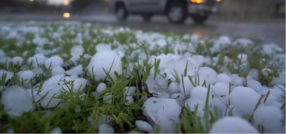 hail on ground